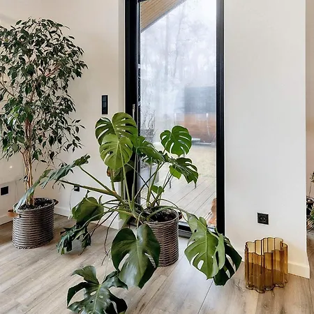 5 Star In Frederikshavn-by Traum * Frederikshavn