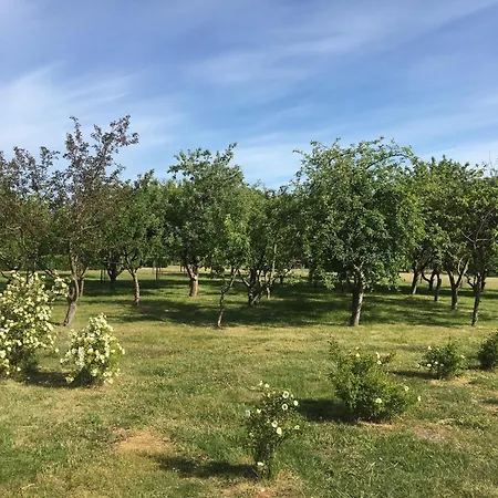 5 Star In Frederikshavn-by Traum Σπίτι διακοπών *