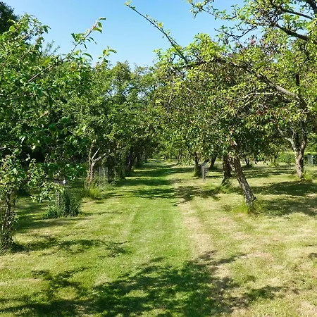 5 Star In Frederikshavn-by Traum Σπίτι διακοπών Frederikshavn